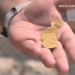 coins coins