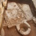 An installation for extracting liquid products unearthed by Israeli archaeologists (Israel Antiquities Authority)