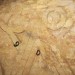 Tropper-pillar-1-965x543 Tropper-pillar-1-965x543
